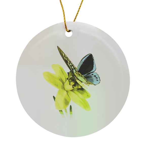 3drose, Birdwing Butterfly and Daffodil, Circle Porcelain Ornament