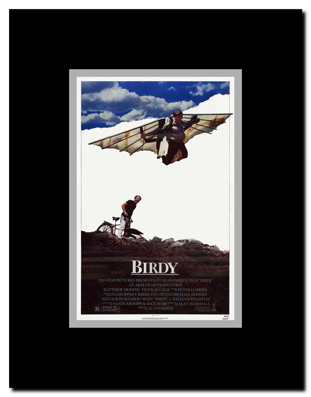Birdy Framed Movie Poster