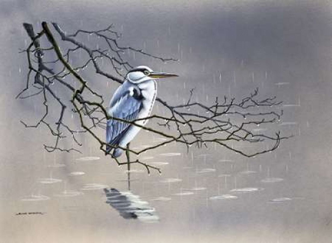 Birdy I Canvas Art - Ruud Weenink (18 x 24)