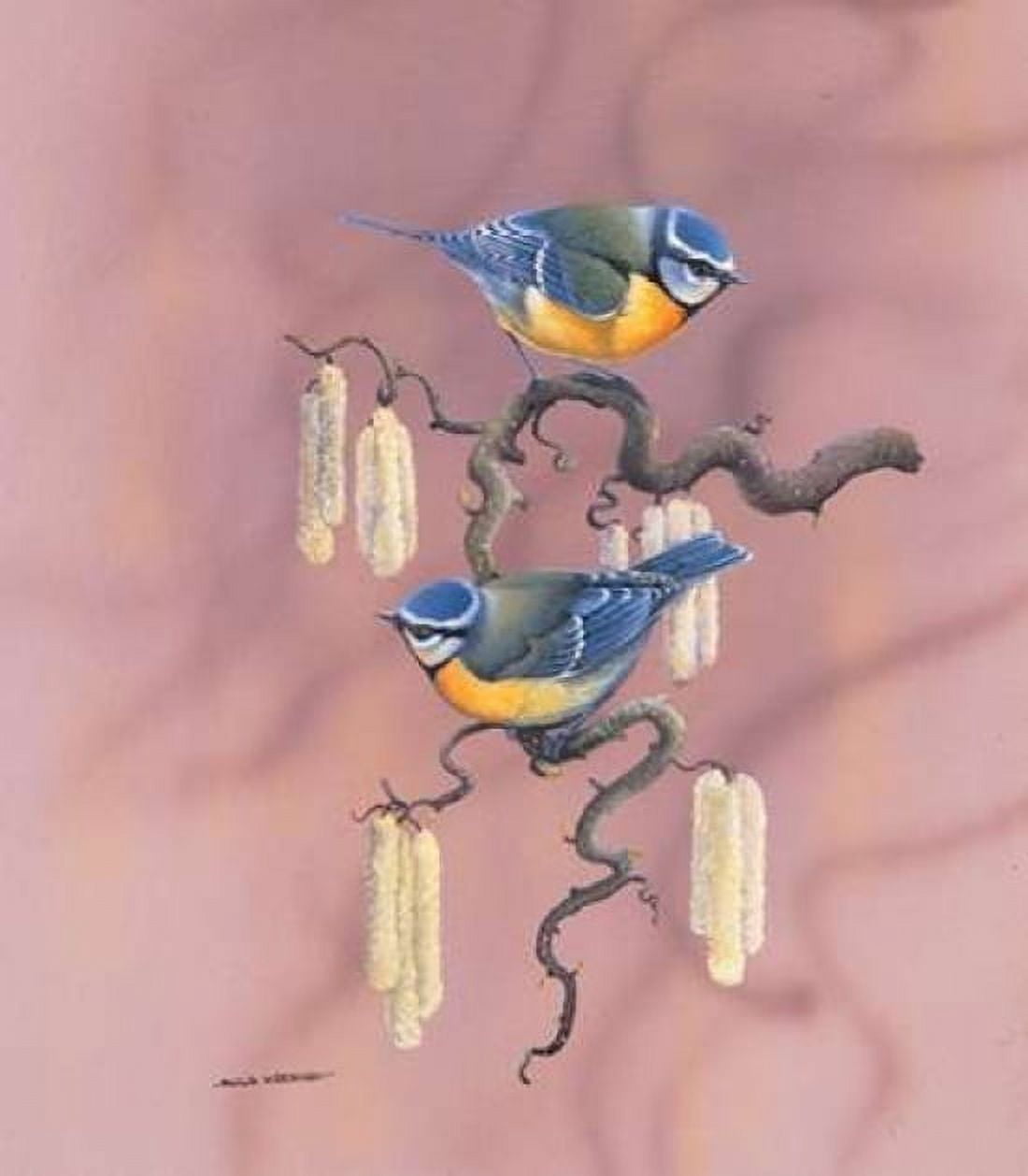 Birdy IV Canvas Art - Ruud Weenink (24 x 24)