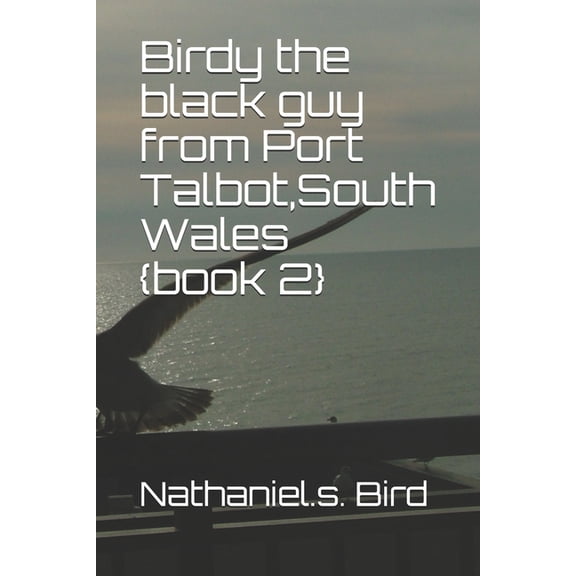 Birdy the black guy from Port Talbot South Wales {book 2} (Paperback)