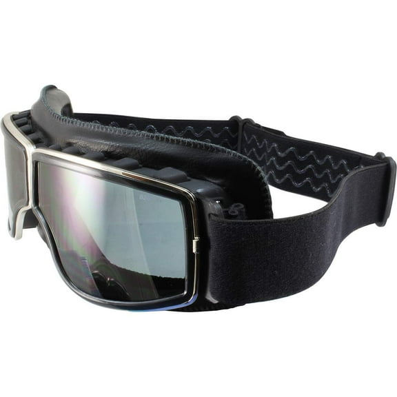 Birdz Condor Black Sport Padded Motorcycle Riding Goggle with Smoke Lens