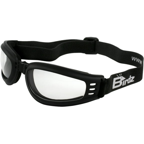 Birdz Eyewear Cardinal Padded Floating Motorcycle Goggles Black Folding Frame with Clear Lenses