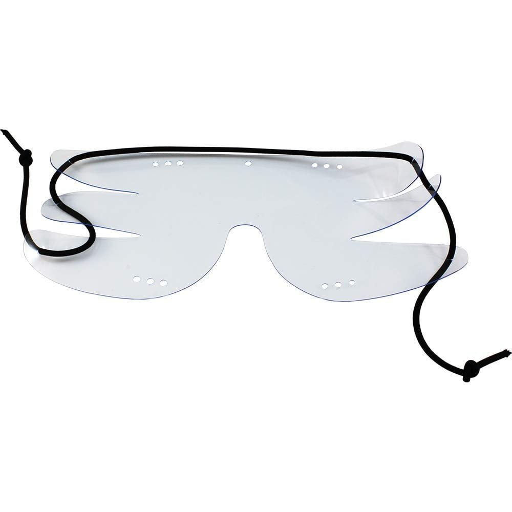 BIRDZ EYEWEAR Birdz Flockz Student Tandem Skydiving Goggles
