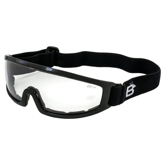 Birdz Eyewear Robin Sport Skydiving Snowboarding Motorcycle Riding Goggles (Clear)