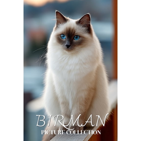 Birman Cat Photo Collection: Sacred Full-Page Pictures of Birman Cats and Kittens for All Ages (Calming Pet Books), (Paperback)