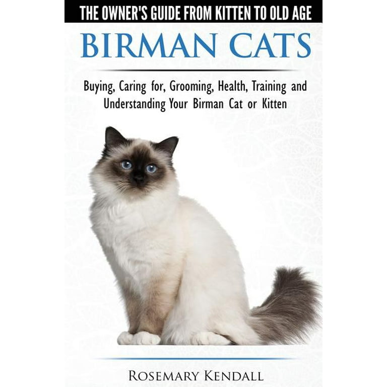 Birman hotsell cat adoption