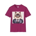 thumbnail image 1 of Birman Domestic Cat, 1 of 11