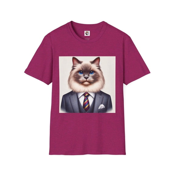 Birman Domestic Cat