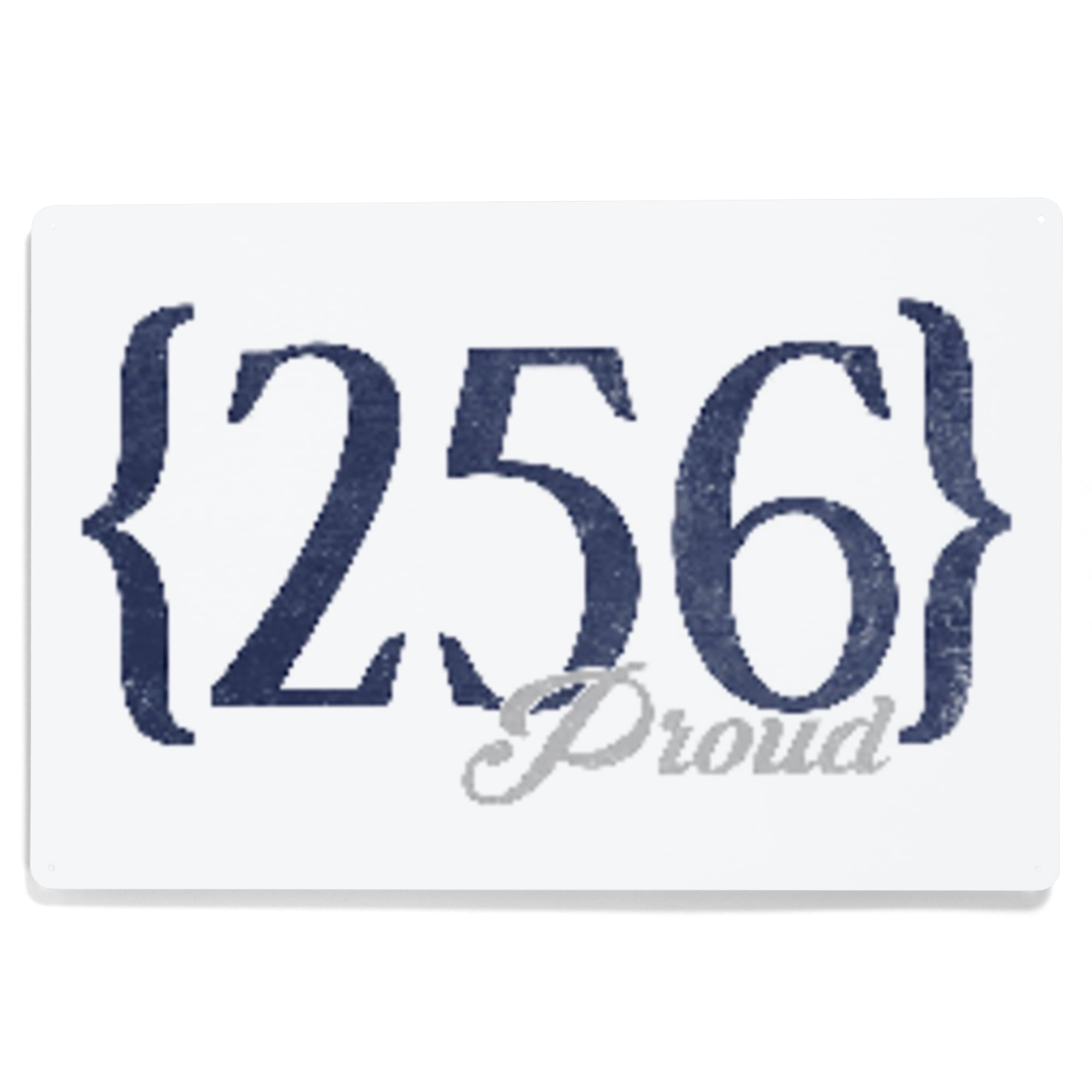 Birmingham, Alabama, 256 Area Code (Blue) (12x18 Aluminum Art, Indoor ...