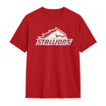thumbnail image 1 of Birmingham Stallions Shirt Short Sleeve Cotton Tshirt, 1 of 5