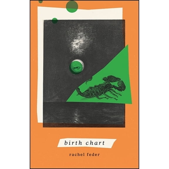 Pre-Owned Birth Chart (Paperback) 1438479360 9781438479361