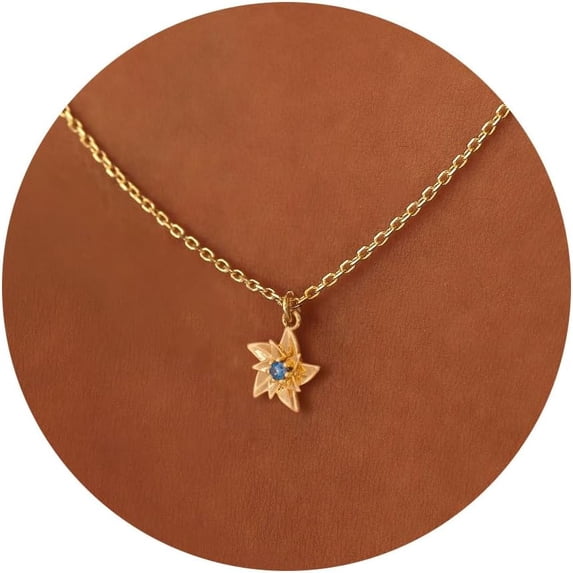 Birth Flower Necklace 14K Gold Plated Birthstone Necklace for Women Dainty Birth Month Flower Necklace Personalized Jewelry Birthday Gift