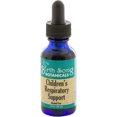 thumbnail image 1 of Birth Song Botanicals Children's Elderberry Respiratory Support Tincture, Herbal Immune Support, 1 oz, 1 of 7
