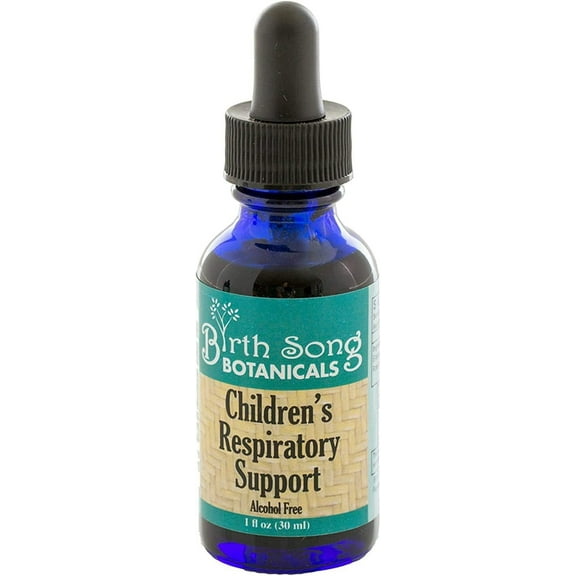 Birth Song Botanicals Children's Elderberry Respiratory Support Tincture, Herbal Immune Support, 1 oz