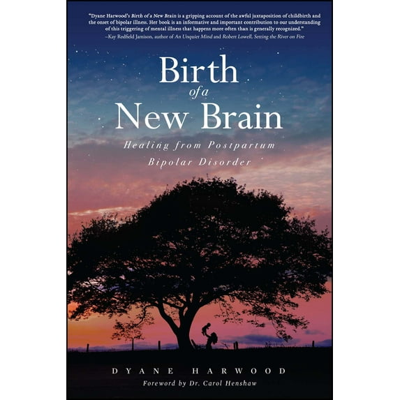 Birth of a New Brain : Healing from Postpartum Bipolar Disorder (Paperback)