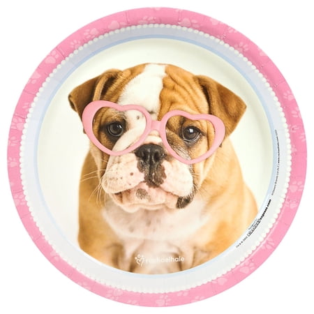 Birthday Express 232493 rachaelhale Glamour Dogs Dinner Plates