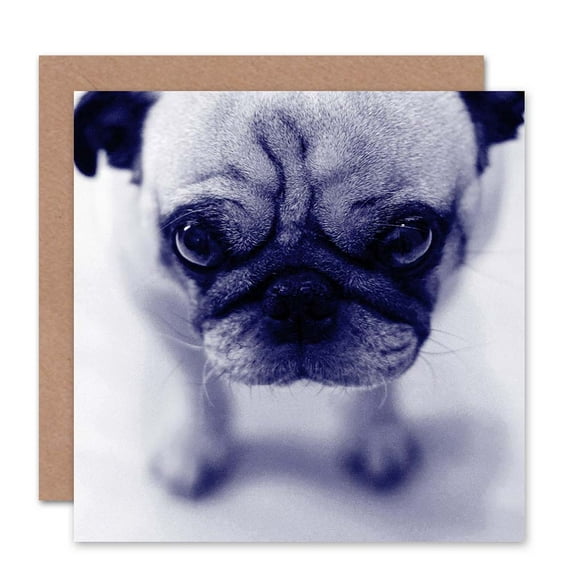 Birthday Animal Dog Pug Puppy Cute Greetings Card Plus Envelope Blank inside