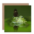 thumbnail image 1 of Birthday Animal Frog Butterfly Green Greetings Card Plus Envelope Blank inside, 1 of 3