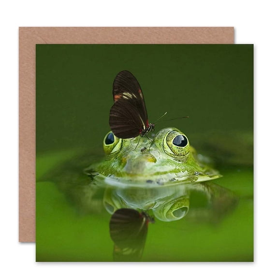 Birthday Animal Frog Butterfly Green Greetings Card Plus Envelope Blank inside