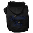 thumbnail image 1 of Birthday Boy Hoodies Black XXL - 18, 1 of 1