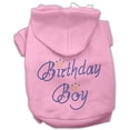 thumbnail image 1 of Mirage Pet Products Birthday Boy Hoodies, 1 of 2
