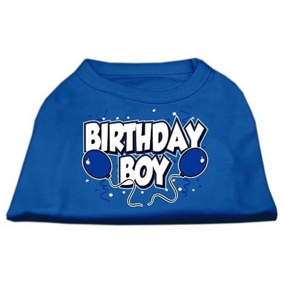 Birthday Boy Screen Print Shirts Blue Med (12)
