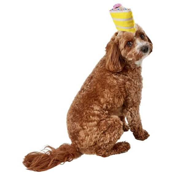 Birthday Cake Slice Hat Pet Accessory