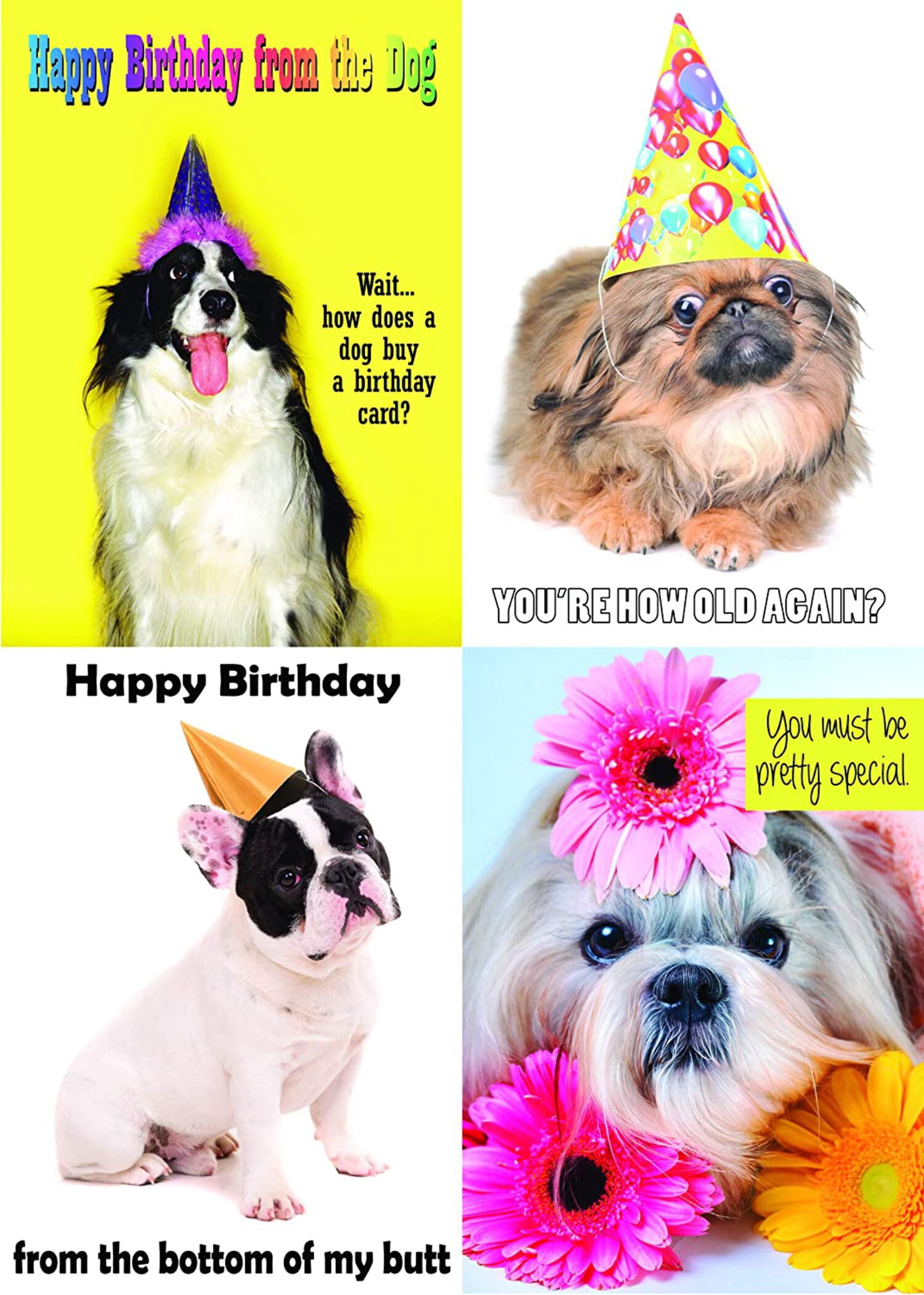 Birthday Card 12-pack Box Set -- 3 Cards Per Design