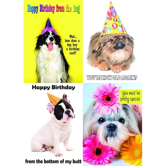 Birthday Card 12-pack Box Set -- 3 Cards Per Design