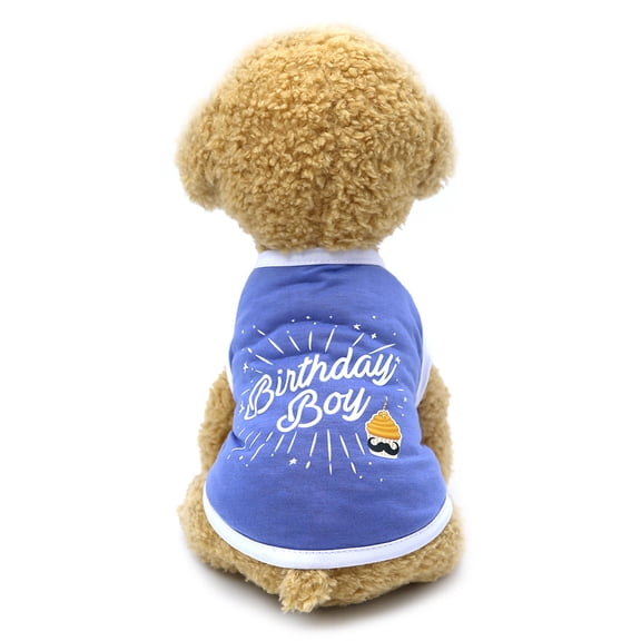 Birthday Celebration Pet Dog Cat Puppy Warm Soft Painting Design Fashionable Coat Shirt Apparel Outfit Garment