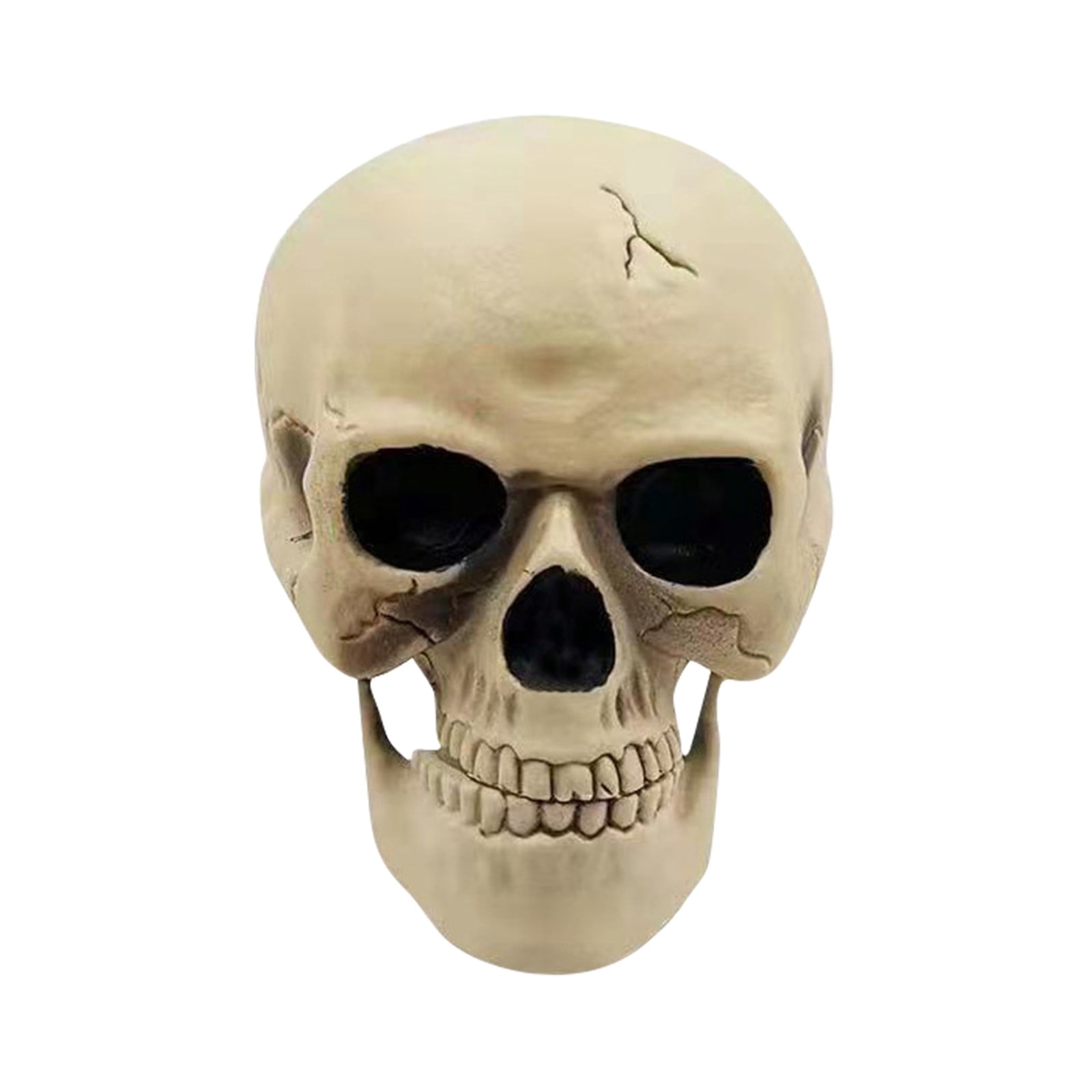 Birthday Decorations 3 Clear Balloons with inside Car Garland Holiday