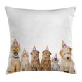 thumbnail image 1 of Birthday Decorations for Kids Throw Pillow Cushion Cover, Shelter Dogs Terrier Cats with Cone Hats Party Theme Image, Decorative Square Accent Pillow Case, 24 X 24 Inches, Multicolor, by Ambesonne, 1 of 2