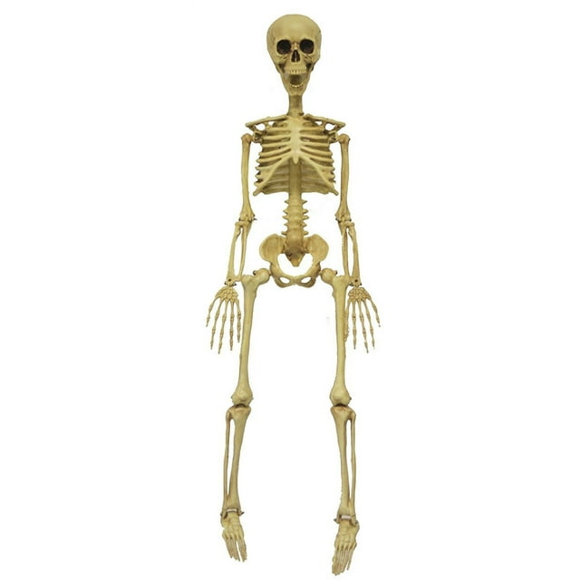 Plastic Realistic Skeleton Halloween Decoration - Walmart.com