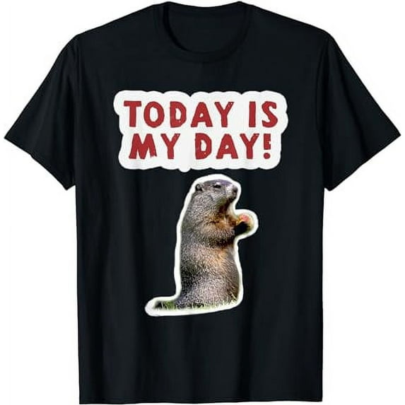 Birthday Funny Saying Today is My Day T-Shirt
