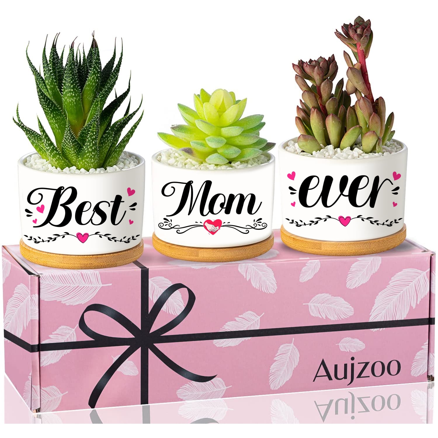 Daughter Gift from Mom, Birthday Gifts for Daughter Adult, Birthday Gift Ideas 3 Succulent Pots, Size: One Size