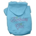 thumbnail image 1 of Pet, Dog  Cat Hoodie Rhinestone, "Birthday Girl", 1 of 8