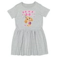 thumbnail image 1 of Birthday Girl Paw Patrol Skye 3rd Dress Infant Toddler Fine Jersey Dress 3T Gray, 1 of 5