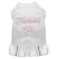 thumbnail image 1 of Pet Dog  Cat Dress Rhinestone, "Birthday Girl", 1 of 10