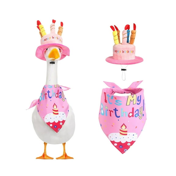Birthday Party Goose Dress Suit for Outdoor Holiday - Perfectly Designed for Porch Decorations and Yard Statues