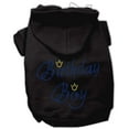 thumbnail image 1 of Birthday Pet Dog  Cat Hoodie Rhinestone, "Birthday Boy", 1 of 9