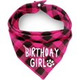 thumbnail image 1 of Birthday Plaid Dog Bandana with Button, Fall Dual Layer Scarf Soft Cotton Triangle Bib Girls and Boys Kerchief Adjustable Accessories for Small Medium Large Extra Large Dog Puppy Pet Cat, 1 of 5