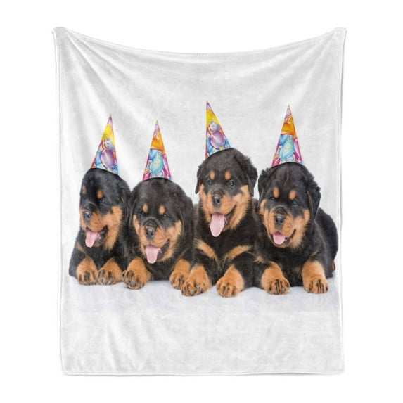 Birthday Soft Flannel Fleece Throw Blanket, Rottweiler Pets Party Cone Hats Puppies Dogs Artwork Print, Cozy Plush for Indoor and Outdoor Use, 50" x 70", Marigold and Black, by Ambesonne