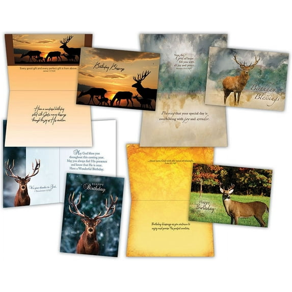 Birthday - Wildlife - Assorted Birthday Cards