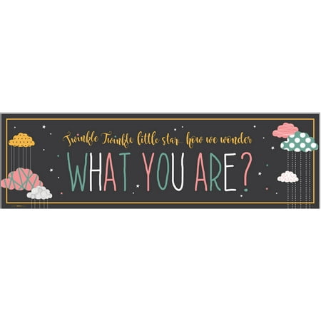 Twinkle Little Star Gender Reveal Party Supplies Vinyl Banner (18"x61")