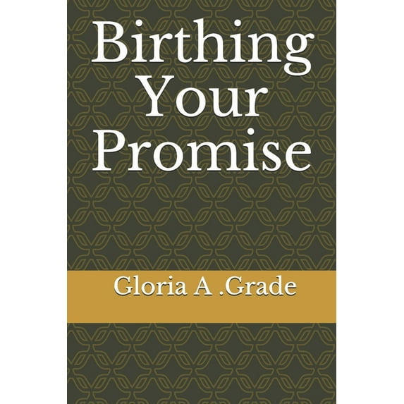 Birthing Your Promise (Paperback)