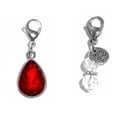 thumbnail image 1 of Birthstone Charms For Bracelets, Necklaces, Purse or Bag Charms, Easy To Clip On Anywhere - January Birthstone Charm, 1 of 4