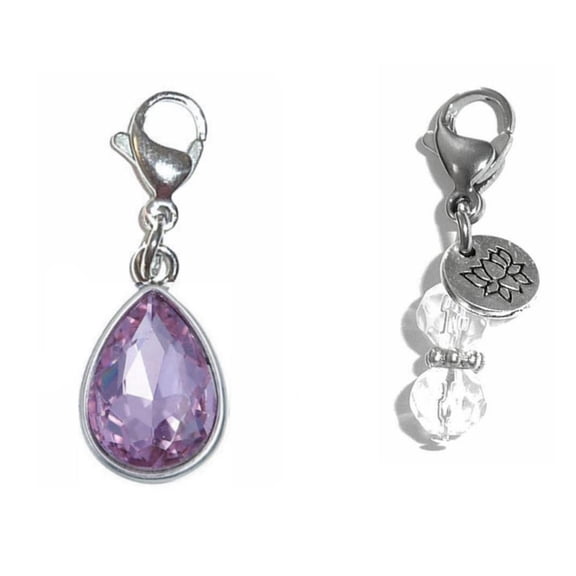 Birthstone Charms For Bracelets, Necklaces, Purse or Bag Charms, Easy To Clip On Anywhere - June Birthstone Charm