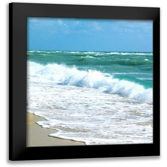 Biscardi, Nicholas 15x15 Black Modern Framed Museum Art Print Titled - Teal Surf I