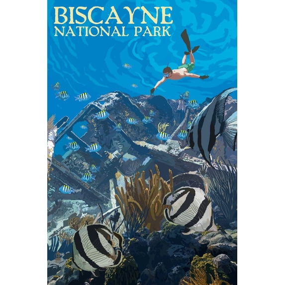 Biscayne National Park, Florida, Underwater Snorkeler (16x24 Giclee Gallery Art Print, Vivid Textured Wall Decor)